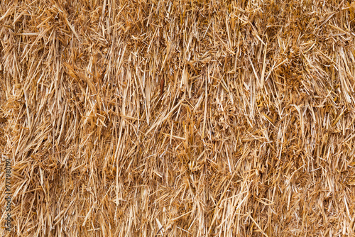 Abstract Farming Background / Closeup of golden pressed straw texture (copy space)