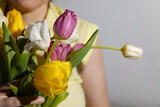 Multi-colored tulips in the hands of a woman in a room illuminated by sunlight. High quality photo