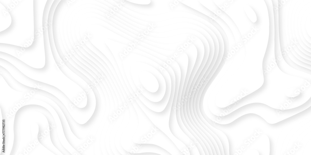 Abstract white paper cut background with lines. Background of the topographic map. White wave paper curved reliefs abstract background. Realistic papercut decoration textured with wavy layers.