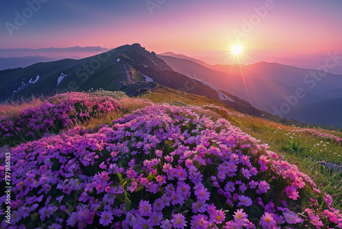 Flowers Blooming on a High Mountain Illuminated by the Morning Sun, Symbolizing the Beauty and Success of Aiming High and Overcoming Difficulties © cwa
