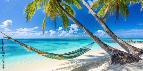 Hammock tied between palm trees on a serene tropical beach with clear blue water.