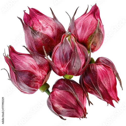 Roselle fruits isolated on transparent background