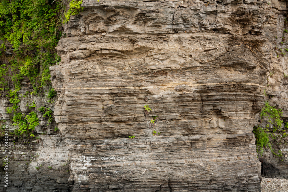 Fototapeta premium rock wall on the beach