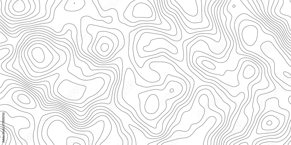 White topology fresh clean vector contour map background