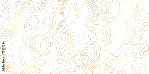 White background topography golden lines gradient abstract vector background