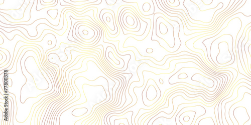 White background topography golden lines gradient abstract vector background