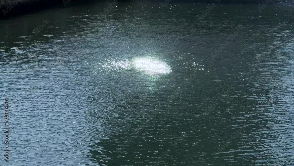 Sunlight reflecting on rippling water surface, creating a tranquil and serene mood Sunlight reflecting on rippling water surface, creating a tranquil and serene mood