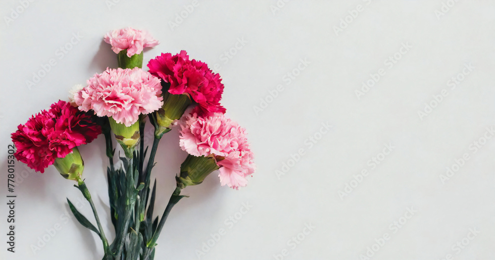 bouquet of  carnation flower isolated on white background Top view Happy Valentine's day, Mother's, Memorial, Teacher's day concept Copy space 