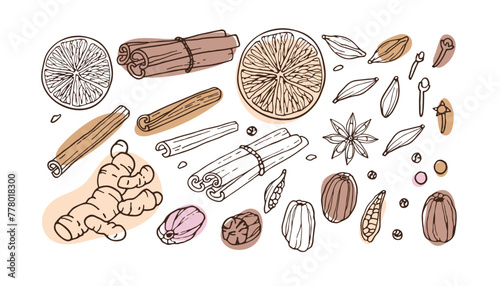 Spice set. Doodle Outline vector illustration on white background. Food and drink recipe ingredients. Organic product sketch for cooking and spice stores sign. Flavor cooking ingredient.