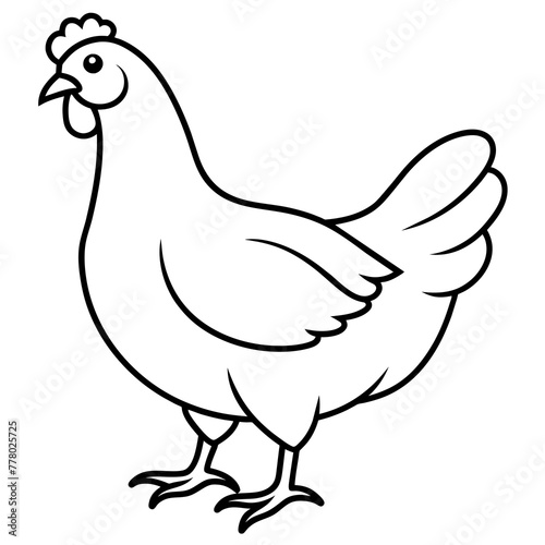 illustration of a hen