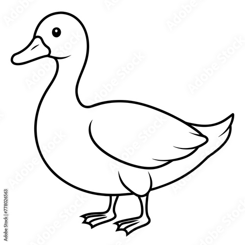 duck