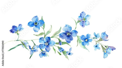 Bright watercolor forget-me-not cluster, simple background,