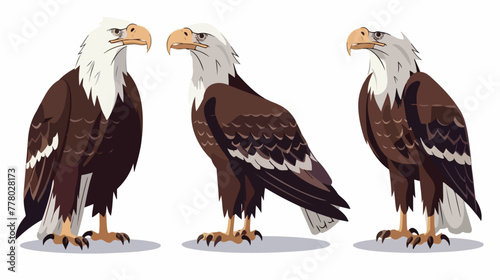 Cartoon eagles flat vector isolated on white Background