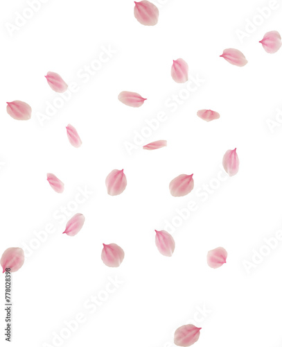 floating cherry blossom petals