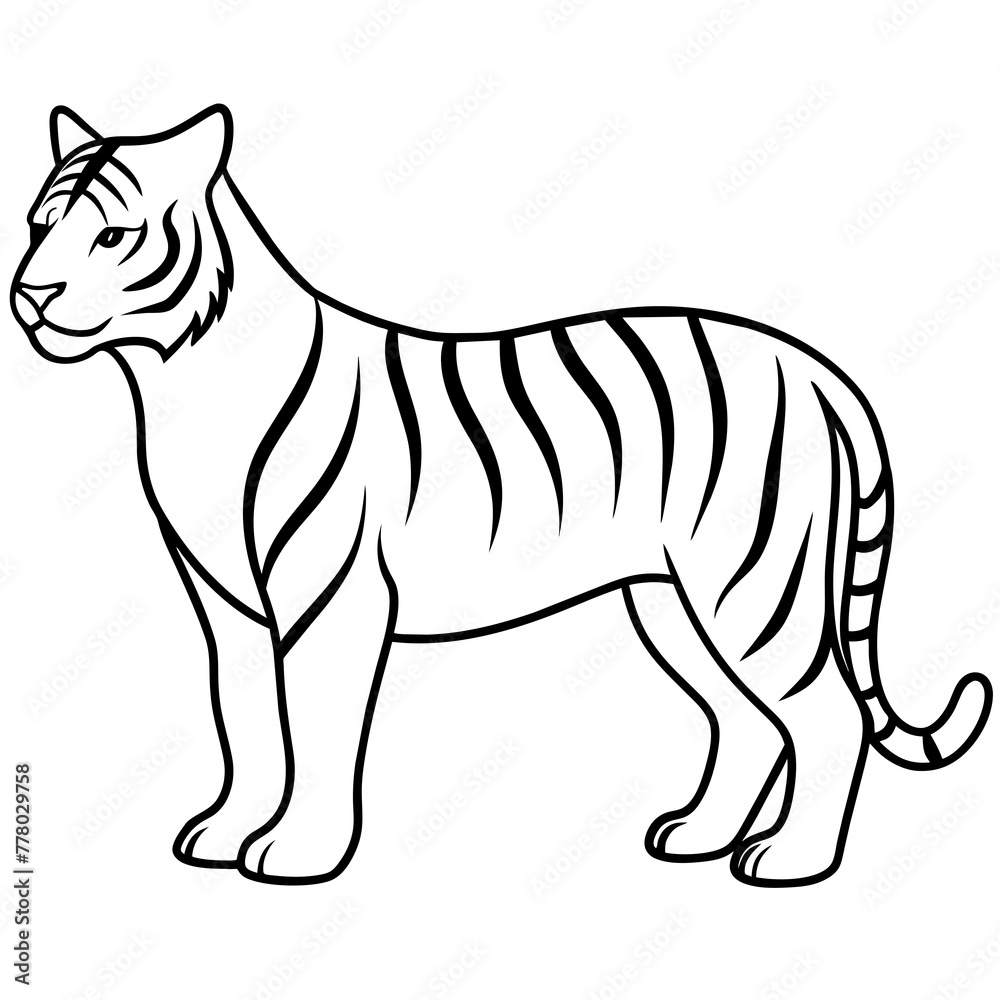 drawing of a tiger