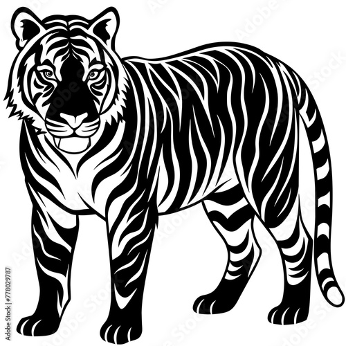 zebra vector illustration