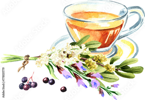 Medicinal plants and Herbal homemade tea. Alternative medicine , herbal collection. Hand drawn watercolor illustration, isolated on white background 