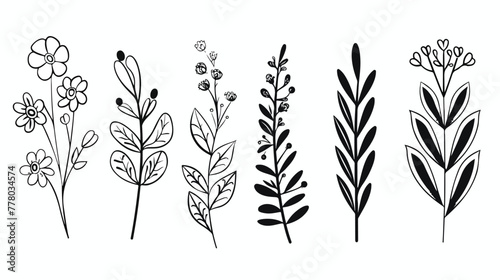 Decorative flowers and leaves line illustration vector