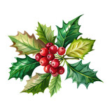 red holly berry for Christmas decor