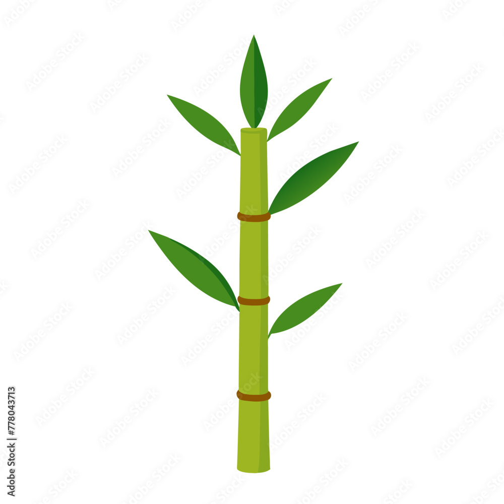 Fototapeta premium Green Bamboo stems isolated on the white background