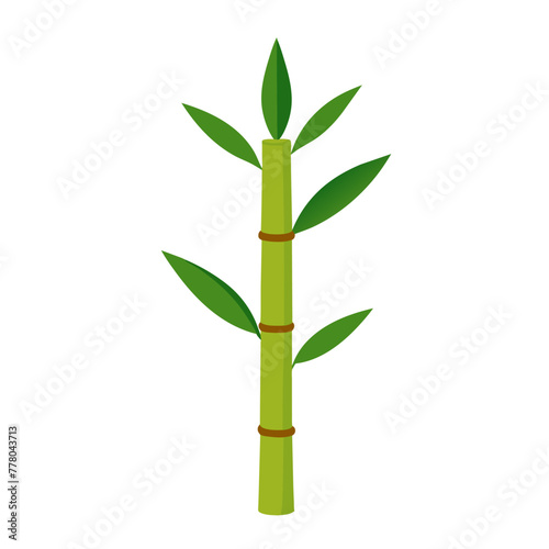 Green Bamboo stems isolated on the white background