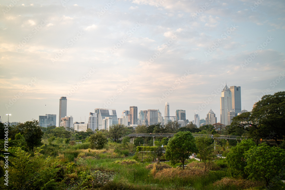 Fototapeta premium Sunset in the afternoon at Benchakitti Park. Golden hour view in the park with pathway and nature all around