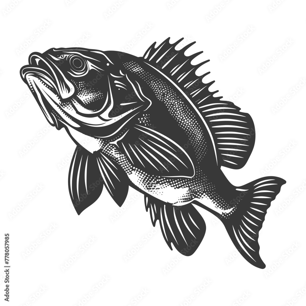 Silhouette Cod Fish animal black color only Silhouette Cod Fish animal black color only