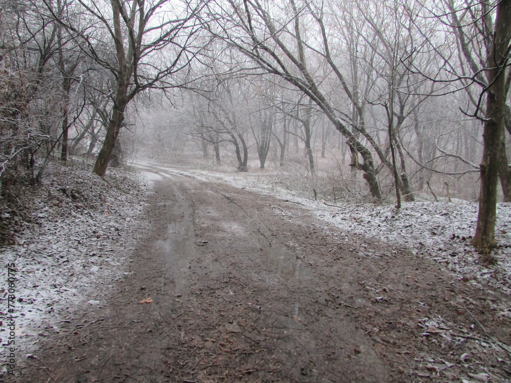 Muddy road in white forest covered with fresh snow. Muddy road in white forest covered with fresh snow.