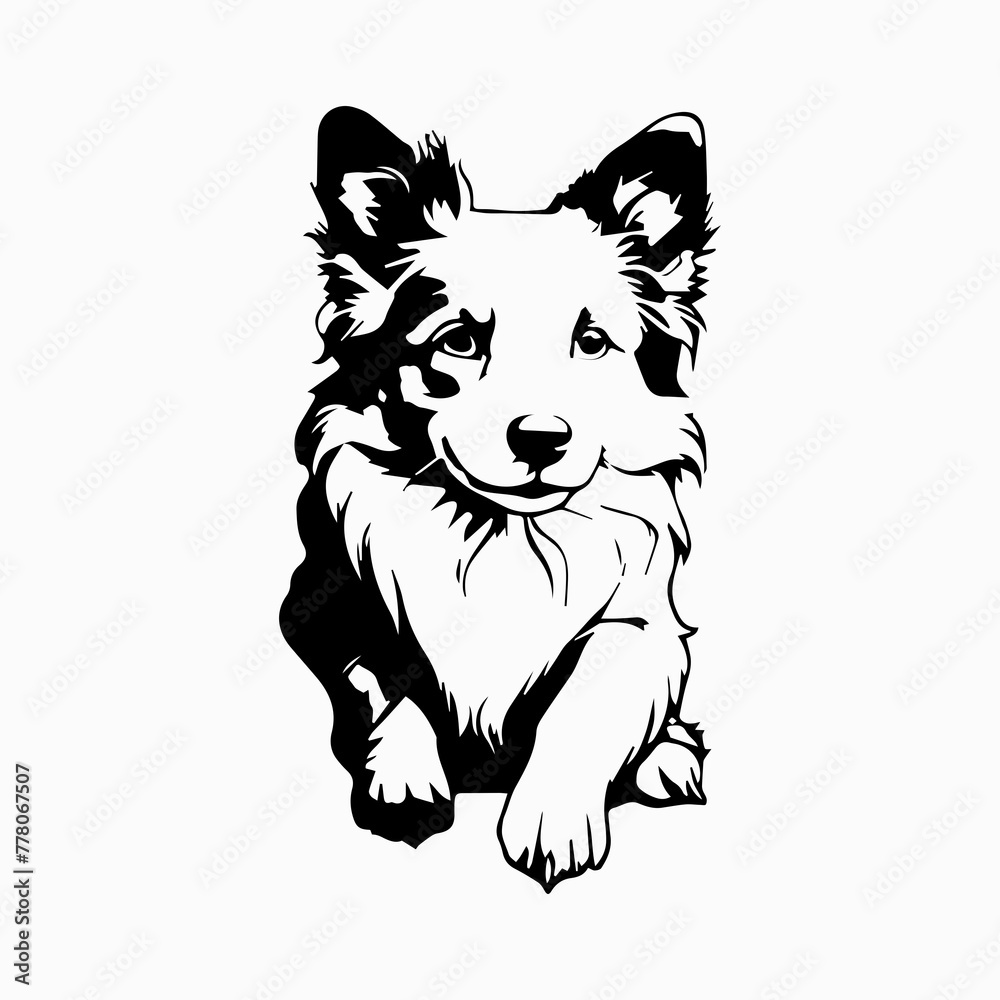 Border Collie Dog breed vector image Isolated black silhouette on white background Cute line art illustration 
