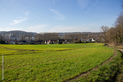 Landscape view of green grass field with blue skybackground.