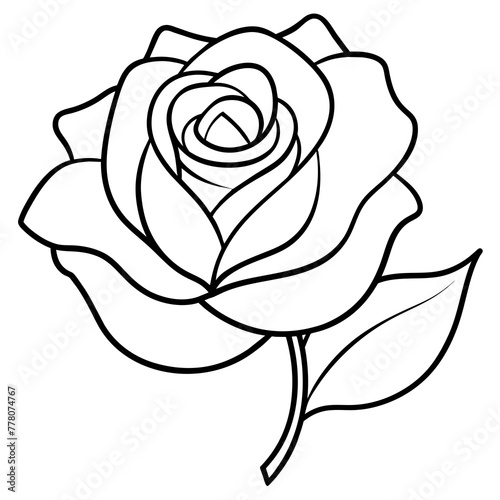  Flower vector illustration.

