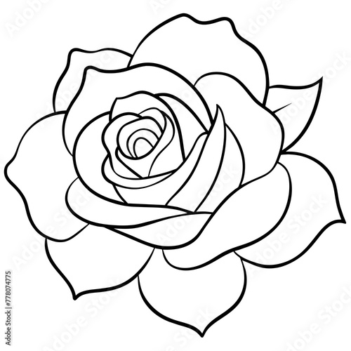  Flower vector illustration.

