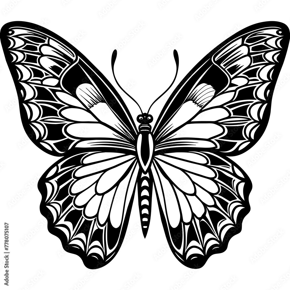 Butterfly vector illustration.
Butterfly vector illustration.