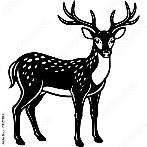  Deer vector illustration 