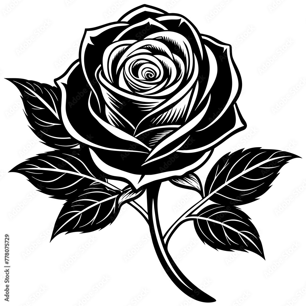 Flower vector illustration Flower vector illustration