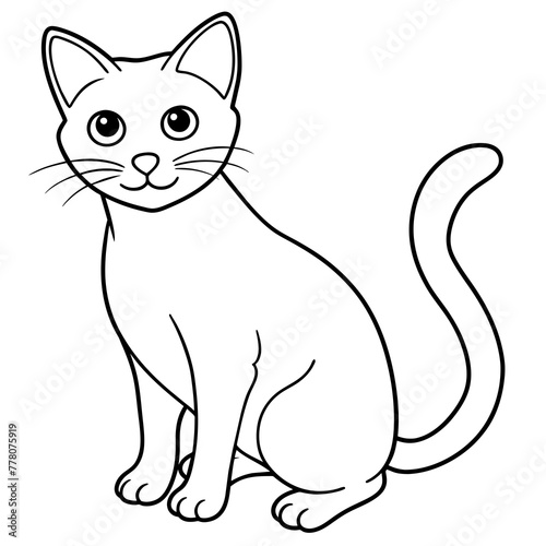 cat vector illustration. 