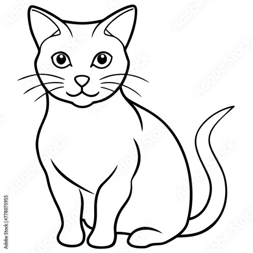 cat vector illustration. 