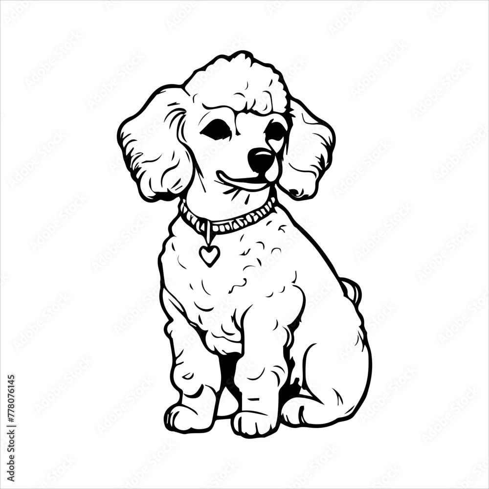 Poodle Dog breed vector image Isolated black silhouette on white background Cute line art illustration 
