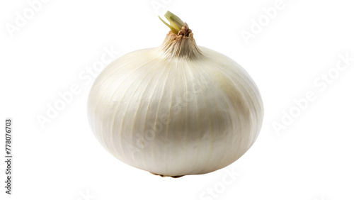 White onion isolated on transparent background.