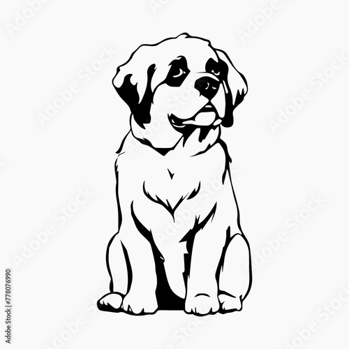 Saint Bernard Dog breed vector image Isolated black silhouette on white background Cute line art illustration  