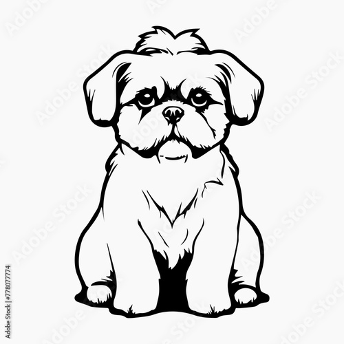 Shih Tzu Dog breed vector image Isolated black silhouette on white background Cute line art illustration  