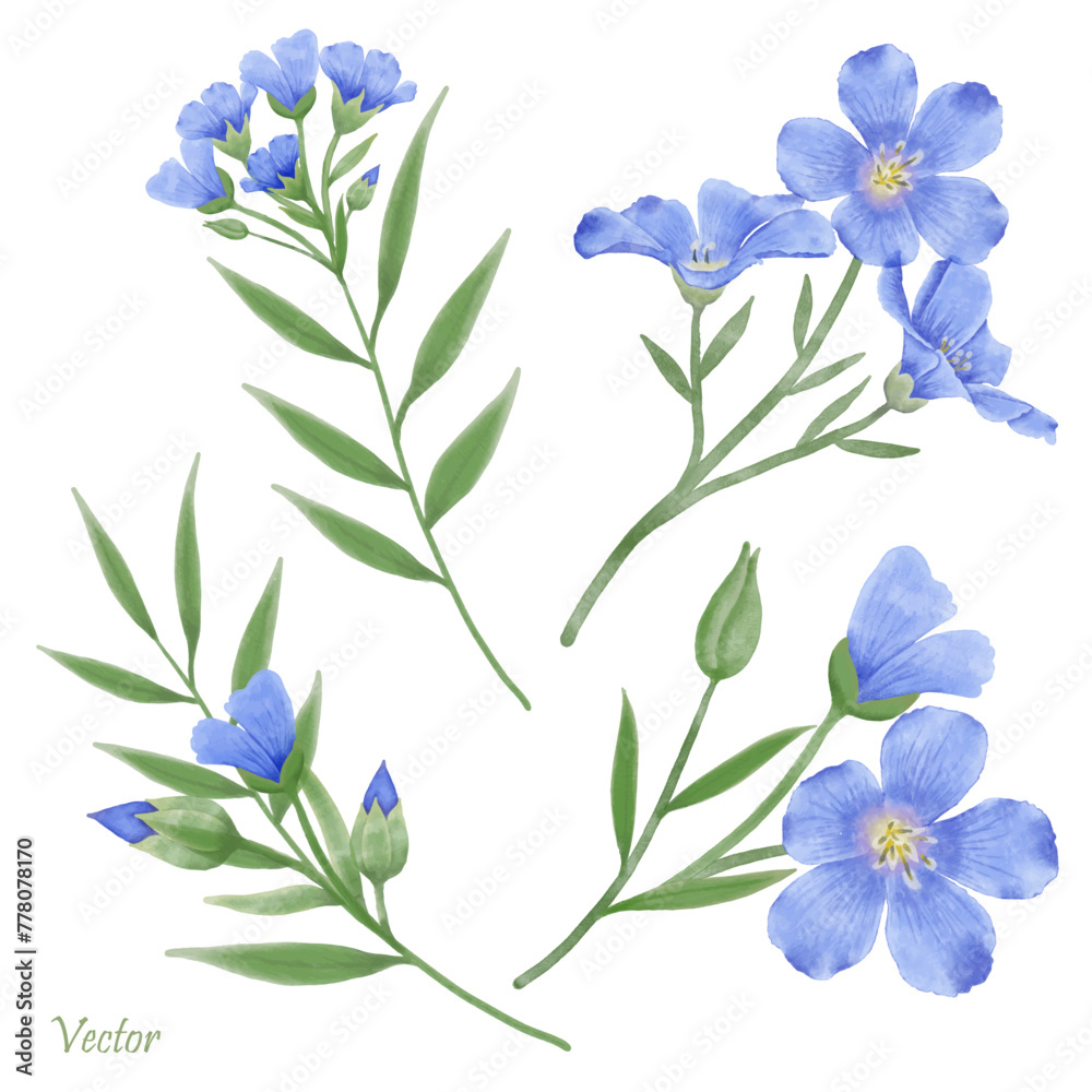 Beautiful Watercolor Flax Flowers - Spring Botanical Design