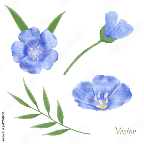 Beautiful Watercolor Flax Flowers - Spring Botanical Design