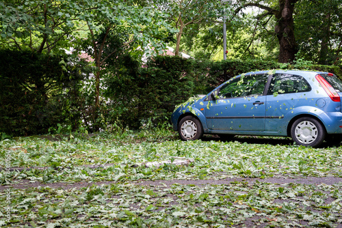 Feuilles d'arbres recouvrant le sol d'un parking et sur une voiture suite à une averse de grêle photo