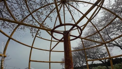 回るグローブジャングルから見上げる桜！