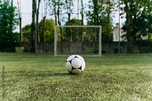 the soccer ball stands on the soccer field in front of the goal