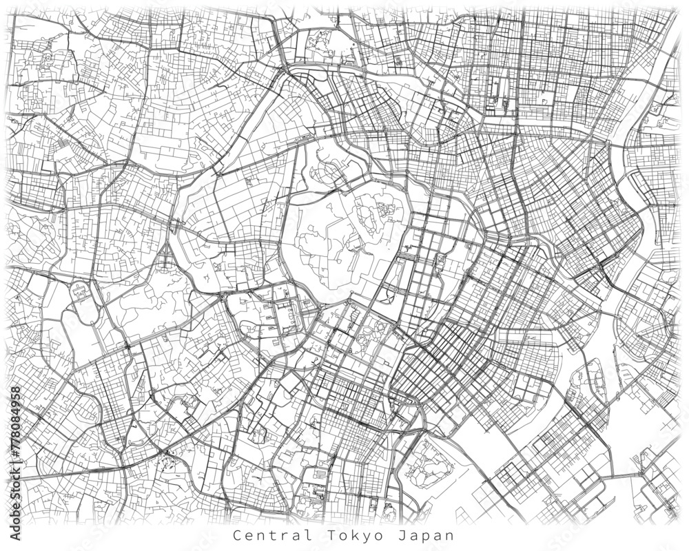 Central Tokyo Japan,Urban detail Streets Roads Map  ,vector element template image