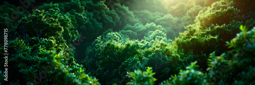 Background with Green Tree Spiral Roads or Green, Green trees with sun inside 