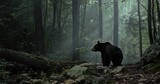 photograph of a black bear in the smoky mountains. atmospheric interpretation