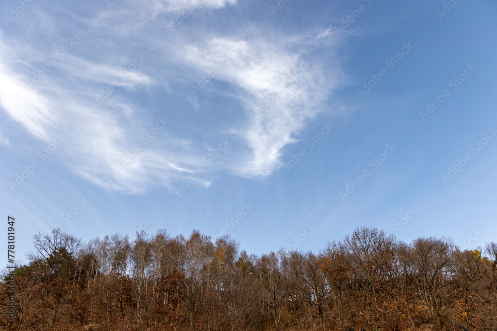 sky and clouds sky and clouds